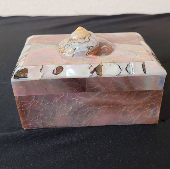 Turbo Tiger Shell Vintage Penshell Box - Picture 5 of 11